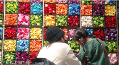 障がい者の豊かな生活を目指すブリザーブドフラワーを使用した活動の事業所募集を開始