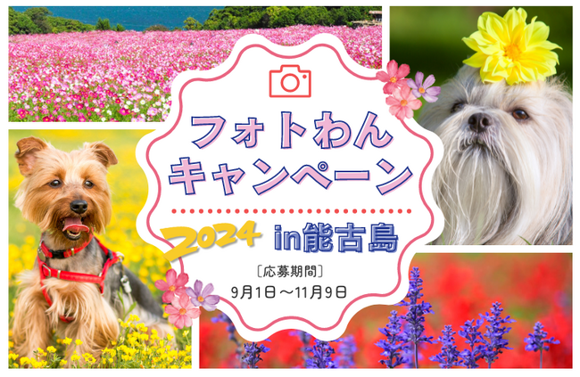 【集まれ！ワンちゃん】能古島でフォトコンテスト開催！