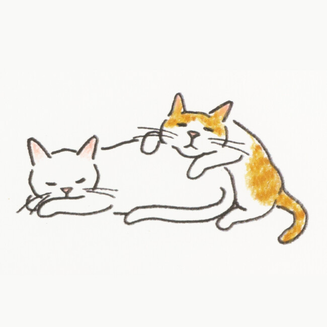 【Amazon2部門ベストセラー1位】猫ばかり描くイラストレーター小泉さよさんがイラストの描き方を指南する『ねこの描き方れんしゅう帖』が発売。対象店舗ではポストカード特典も。
