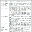 キャンペーン概要 キャンペーン概要