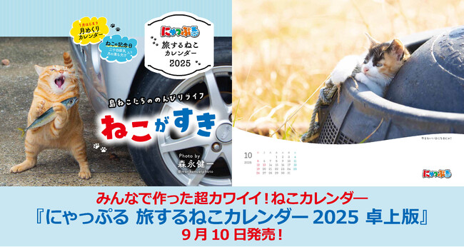 インスタでも大人気のねこ写真家森永健一さんが撮影を担当！『にゃっぷる 旅するねこカレンダー2025 卓上版』9／10発売