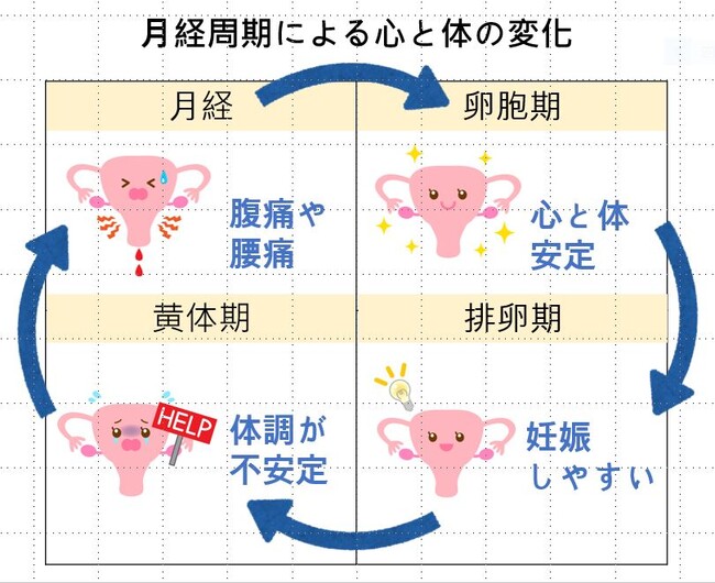 わたカフェ×すずらんスマイルプロジェクト　コラボ企画「女の子のための生活スキル講座」（オンライン）を開催！