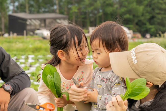 【2024年8月リゾートグランピングドットコム新掲載】～山梨県で異次元の非日常体験を満喫～収穫体験・サウナ・露天風呂付きファームグランピング「アイカフェファーム」