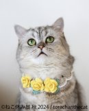 展示作品3 展示作品3