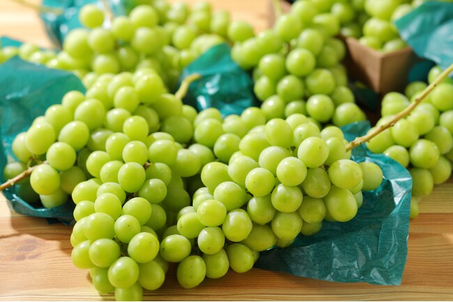 秋のご褒美フルーツ「シャインマスカット」がスイパラで食べ放題♪8/28より「シャインマスカット・巨峰・アールスメロン食べ放題」を開催。旬のフルーツを贅沢に使用した限定スイーツも！