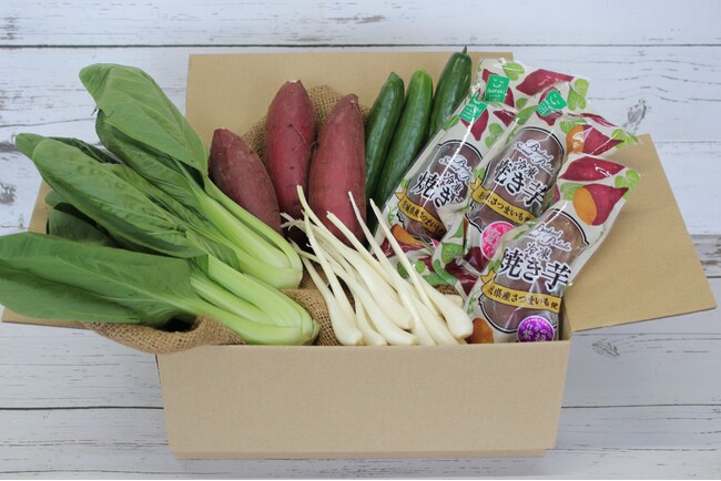 ECサイト“なめ特マルシェ”　大感謝祭　8月31日は「野菜の日」 なめがたの野菜で厳しい残暑を乗りきろう！～JAなめがたしおさい　５種類の特選野菜ボックスを送料無料でご提供～