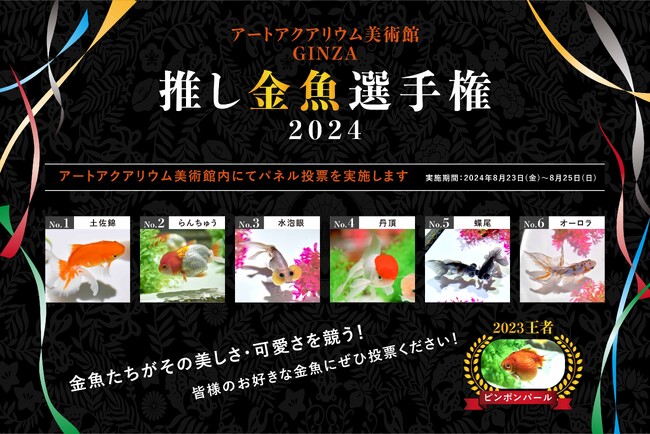 人気No.1はどの金魚?!あなたの推し金魚に一票を！　アートアクアリウム美術館 GINZA「推し金魚選手権2024」開催！