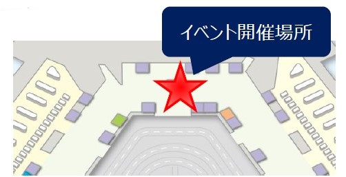 日本文化紹介イベント　越前和紙を使ったワークショップ♪