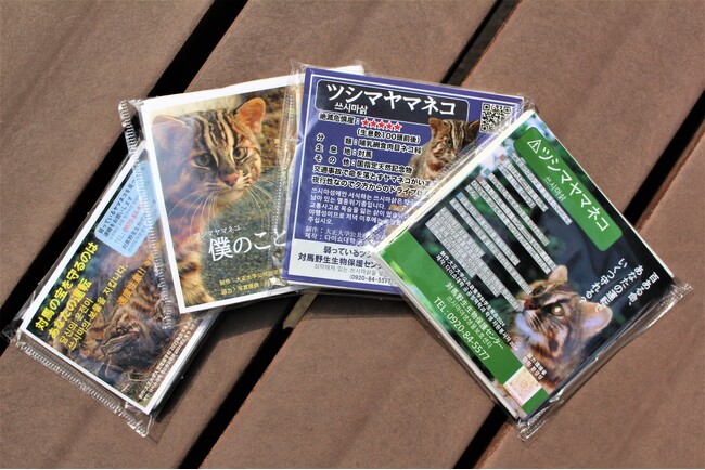大正大学学生がツシマヤマネコの減少ストップを目指す！