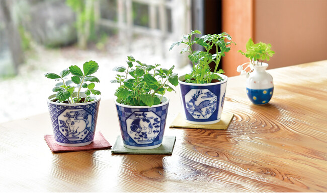 伝統工芸「美濃焼」の器で植物を育てる栽培キット「染付小紋 草花 BONSAI」を8月26日に新発売。縁起のいい和柄×八角形×動物をデザイン、育てやすい3種類の草花をセレクト