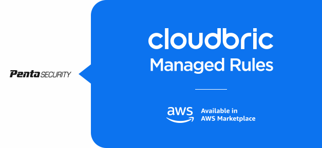 ペンタセキュリティ、CloudbricのAWS WAF専用マネージドルール「API Protection」の提供を開始