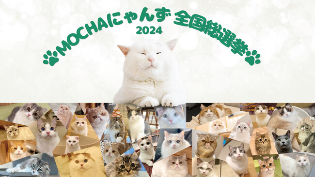 猫カフェMOCHA初の全国総選挙を開催！全国のにゃんずの中からあなたの1票でNo.1に輝くのは誰だ！？「MOCHAにゃんず全国総選挙2024」