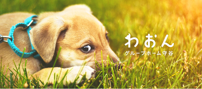 動物と共生する「わおんグループホーム守谷」で常識にとらわれない障がい者サポートを創出