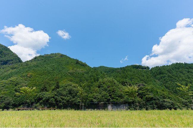 ギフテッドも学び育つオルタナティブスクール「未来を育む遊学舎」（奈良県五條市大塔町）を開校します！