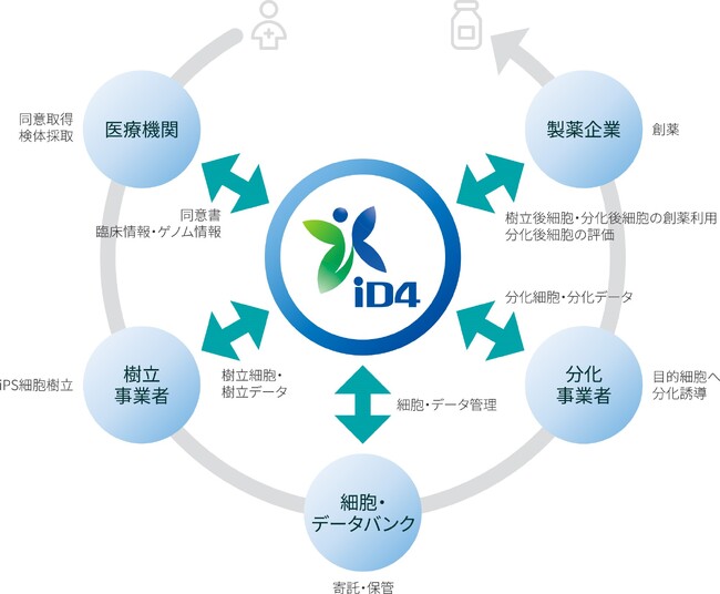 一般社団法人アイディーフォー、第二期の実証実験を開始 研究用iPS細胞の提供拡大を目指す