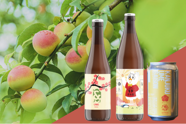 梅ボーイズの超完熟・紀州南高梅使用！3つの醸造所による”梅クラフトビール”を8月31日から数量限定発売。梅の甘く華やかな薫りとビールの苦味が秋におすすめ。