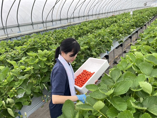 北海道日高振興局職員による副業活動について（令和６年度）