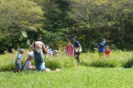 草むらのなかにもいるかな？