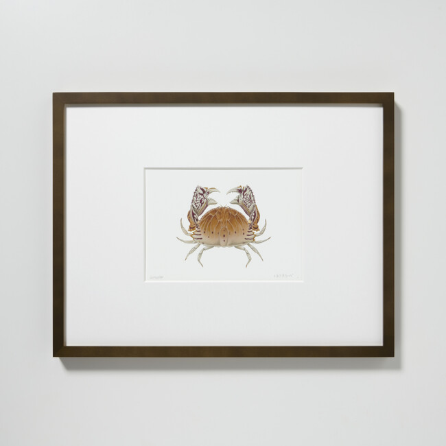 不世出の博物画家・杉浦千里が超絶技巧で描いた作品が複製原画に。9月2日（月）からオンラインショップで受注スタート。