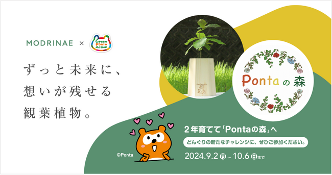 「戻り苗」プロジェクトを通じて「Pontaの森」に植樹する苗木の育成キットを販売開始