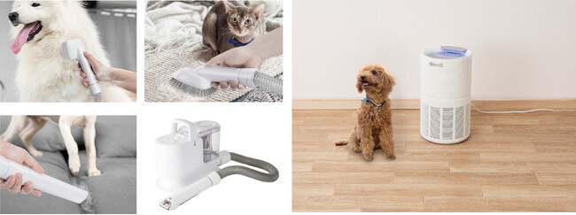 ペットと暮らすあなたに！エディオン×ニトリ共同開発商品より、ペット家電の販売を開始！