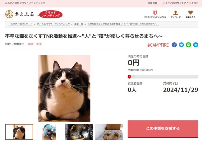 和歌山県橋本市とさとふる、TNR活動を推進し人と猫が住みやすい環境を整えるため寄付受け付けを開始