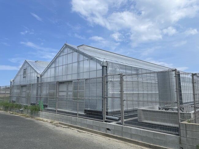 【産学連携】プラズマアグリ研究で世界をリードする九州大学とwelzo、独自技術により8,000億円市場の有機肥料に対しCO2 排出ゼロの窒素肥料を開発へ　持続可能な農業を目指す共同研究をスタート