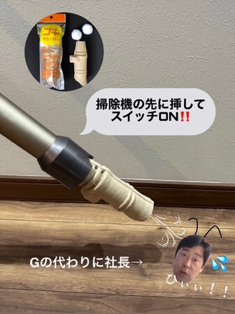 【セアカゴケグモ、吸引捕獲】11匹達成！死骸処理ゴキすぅ～ぽん