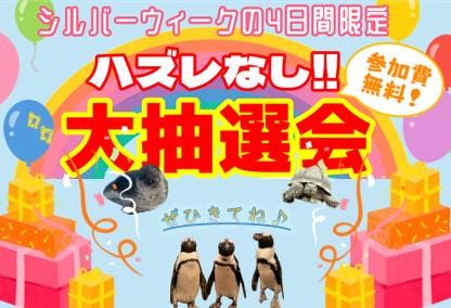水族館ならではの豪華景品がたくさん！4日間限定のシーパラお楽しみ抽選会を開催。