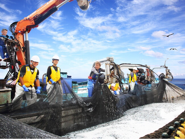 【京都府】漁師さんのお仕事を体験できます!~子ども向け漁業体験の参加者を募集~