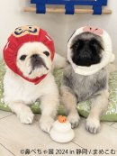 展示作品(2) 展示作品(2)