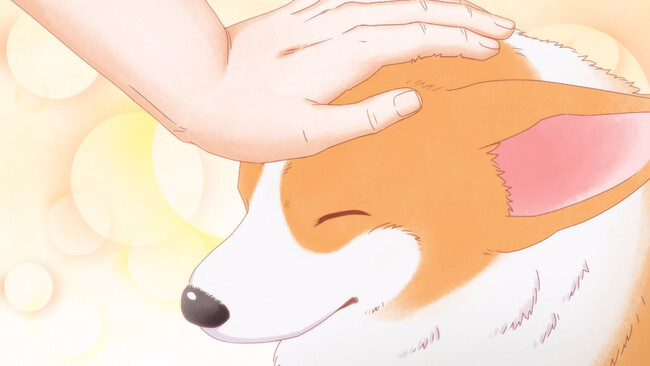 TVアニメ「殿と犬」PVを本日公開！毎週4通りの殿を楽しめる！放送情報も一部解禁！！2024年10月10日（木）より放送開始???? 