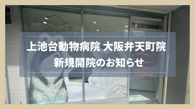 【新規開院】スペシャリストホームドクター 上池台動物病院グループ 大阪弁天町院が2024年9月1日にオープン