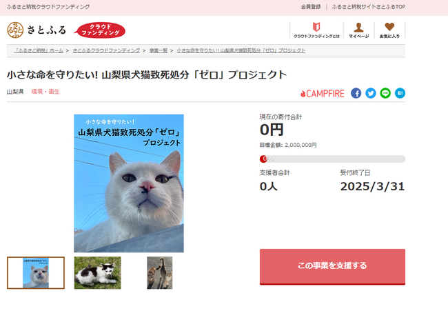 山梨県とさとふる、犬猫致死処分ゼロの継続を目指す動物愛護事業への支援や富士山の環境美化事業を継続するため、寄付受け付けを開始