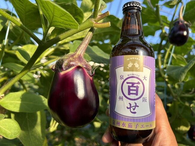 ＜水ナスがビールになった！＞300本限定製造！自然の恵みを堪能できる水ナスとクラフトビールの至福のペアリング【純国産馬刺しと朝引き鶏 にほんいち 大阪堺筋本町店】