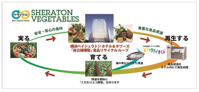 9月末はSDGs週間！【横浜ベイシェラトンホテルのSDGsの取り組み】地域社会とともに、食やエネルギーの循環を作り“人と環境にやさしい”横浜のシティホテルを目指す