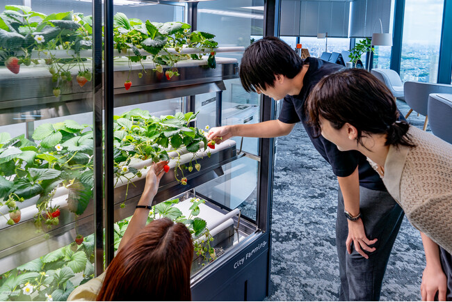 オフィス向け体験型コミュニケーションパッケージ「City Farming（シティファーミング）with Okamura」のサービス提供を開始