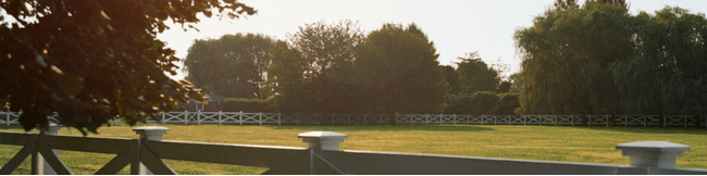 この地で特別なファッション体験を ハンプトンズで命を吹き込まれるラルフ ローレンの世界