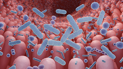 『第26回ダノン健康栄養フォーラム』を9月28日（土）に品川インターシティホールにて開催