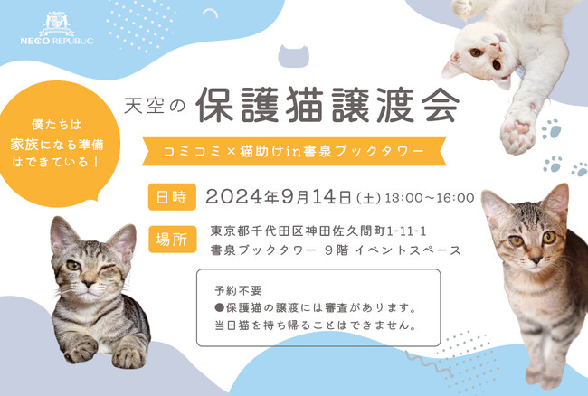 「天空の保護猫譲渡会」!?　秋葉原にて、保護猫活動支援「コミコミ×猫助け」POPUPイベントを9月10日（火）より書泉ブックタワーで開催！