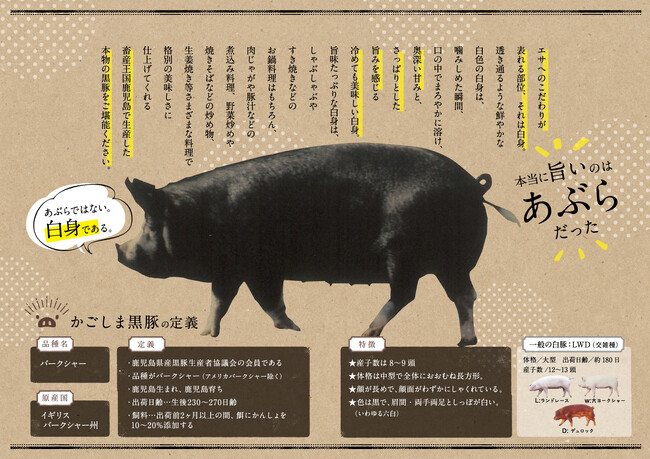 【鹿児島県南九州市】ふるさと納税返礼品に「黒豚１頭」がどどーんと登場！