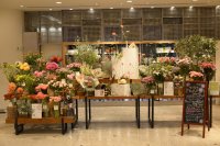 〜サステナブルな花屋を目指して、今、私たちにできること〜日比谷花壇 「サステナチャレンジショップ」Hibiya-Kadan Style 渋谷ヒカリエShinQs店内に9月11日(水)から25日(水)期間限定展開。