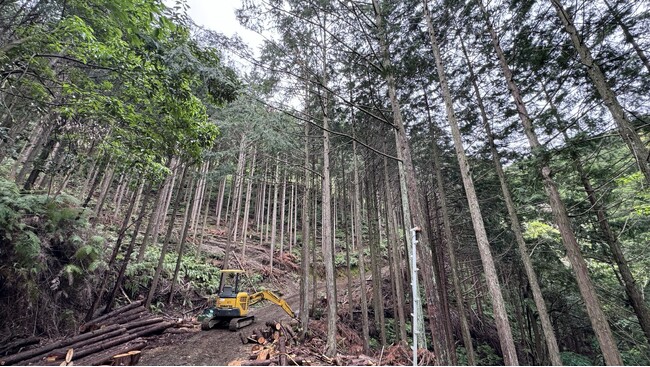 林業家と保育園の【初連携】園児が自然のエネルギーを体験する「森林ツアー」実施！9/26（木）