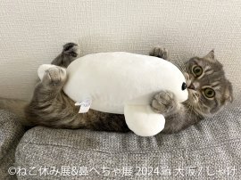 展示作品(1) 展示作品(1)