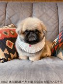 展示作品(2) 展示作品(2)