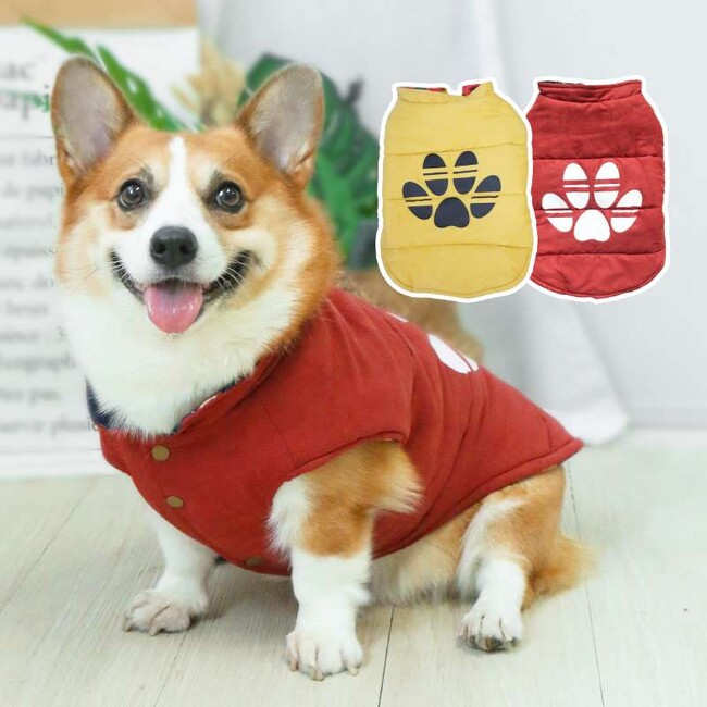 犬服専門通販サイト「ペリードッグ（perrydog）」がサービスを正式リリースしました！