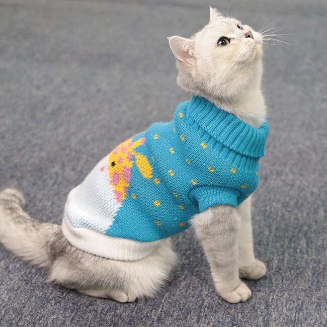 猫服専門通販サイト「ネコハピ（nekohapi）」がサービスを正式リリースしました！
