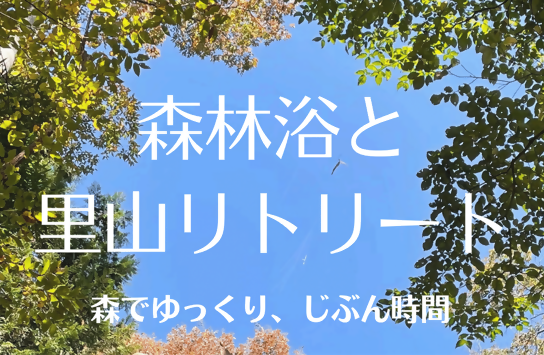 【相模原市】森でゆっくり、じぶん時間「森林浴と里山リトリート」参加者募集中！