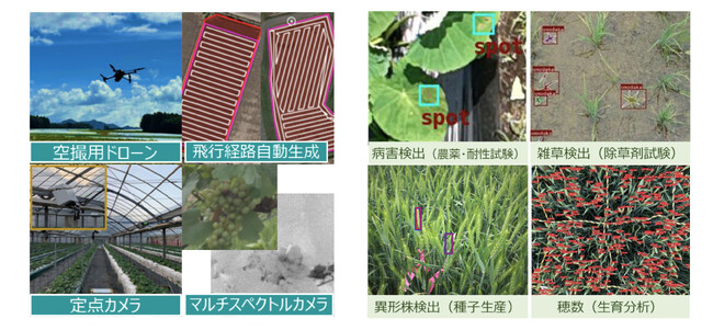 日本育種学会 第146回講演会 企業出展