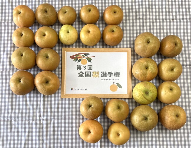 「第3回 全国梨選手権」埼玉県久喜市「彩玉梨　糖度保証付／梨の大澤農園」が最高金賞を獲得！